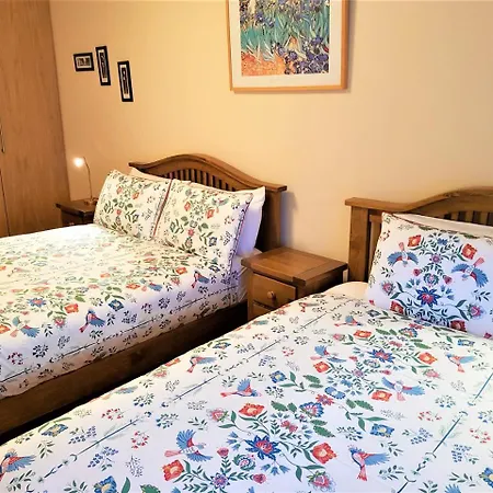 Halfpenny Bridge Holiday Homes - Connemara Girl Апартаменты *
